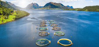 Paineilmakompressori käytössä vesiviljelyssä – KAESER KOMPRESSORIEN energiaoptimoidut ratkaisut kestävään paineilmantarpeeseen.