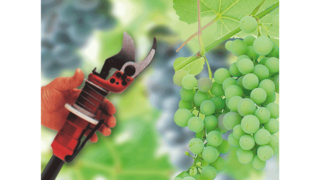 KAESER-teollisuusmäntäkompressorit viininvalmistuksessa.